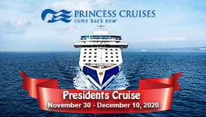 cruise brothers travel agency
