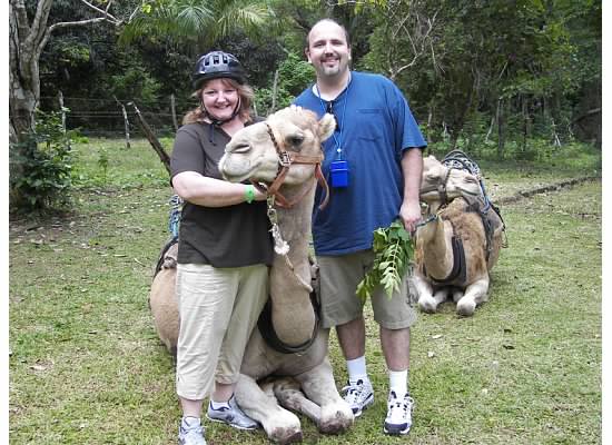 Elaine Dorazio Camel Jamaica