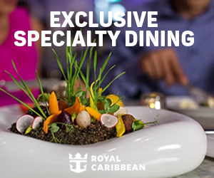 cruise brothers special deal