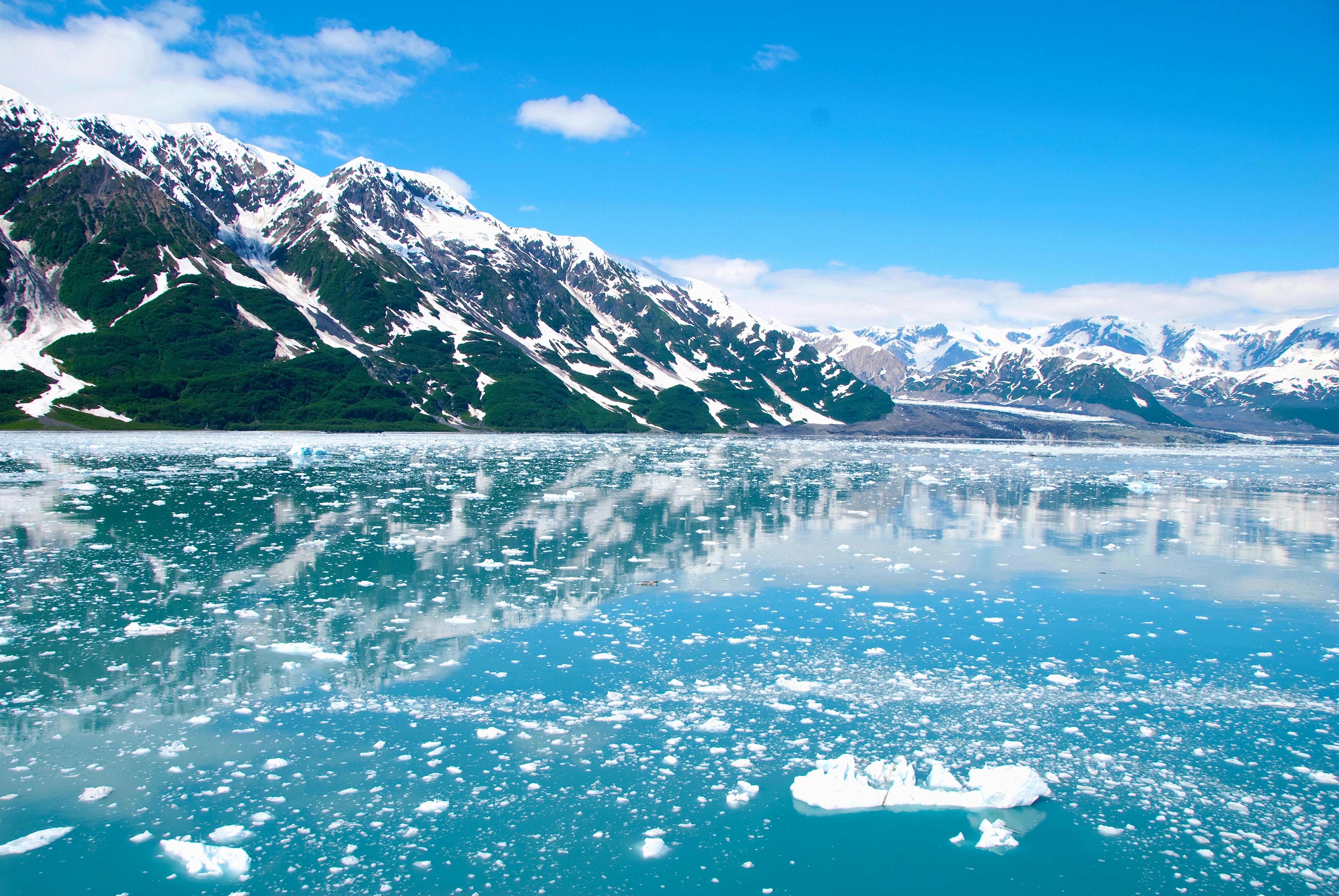 Spectacular Alaskan cruise view