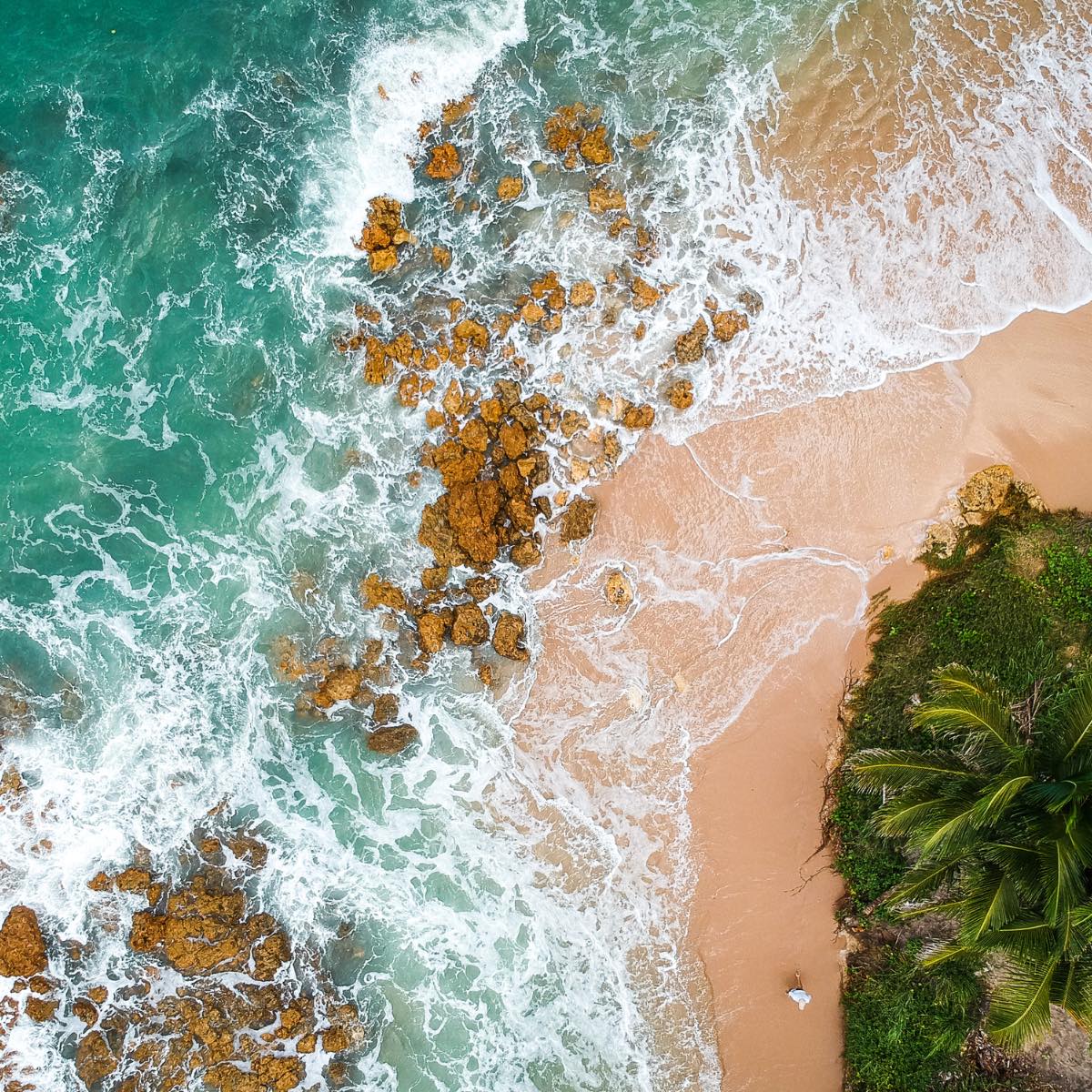 Caribbean