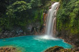 Wildlife of Costa Rica