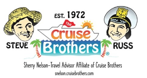 snelson logo