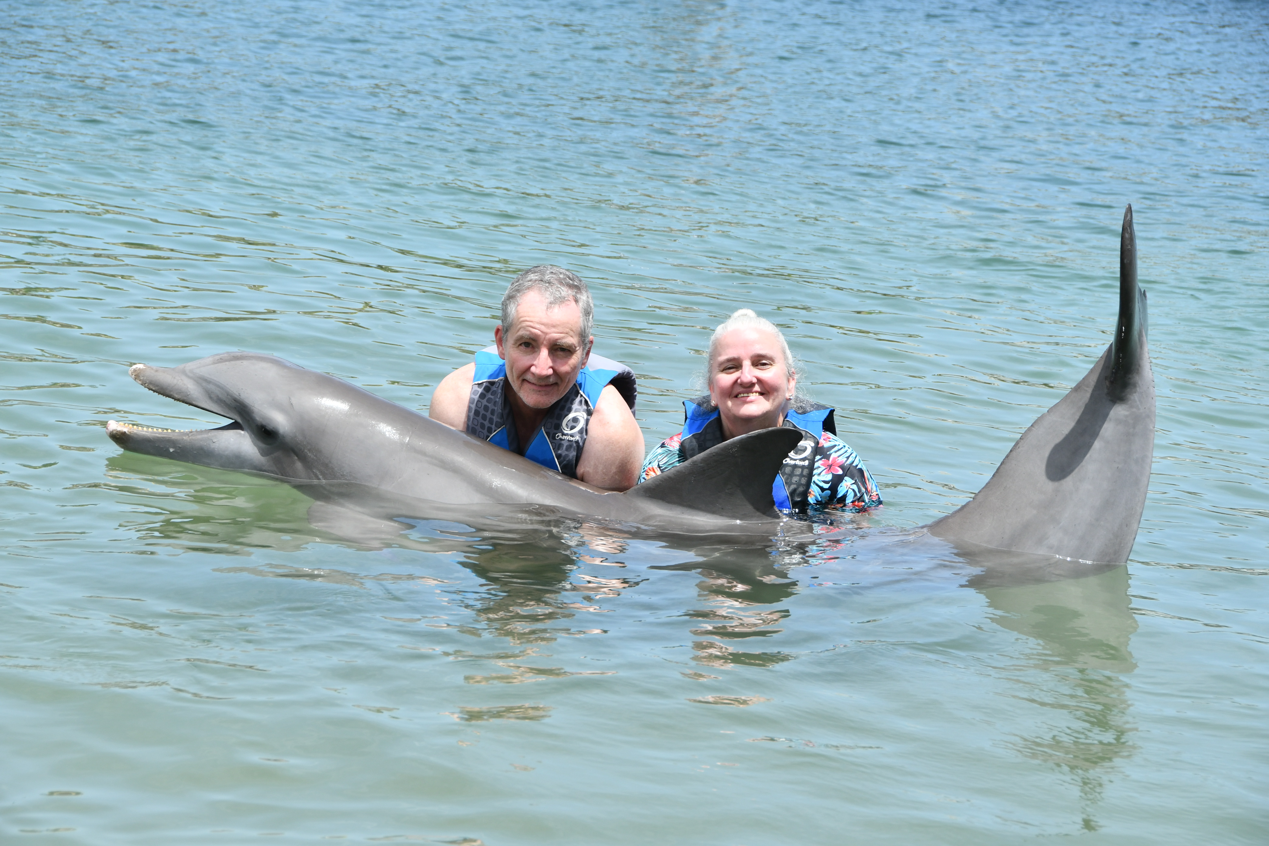 Exciting Dolphin Experience