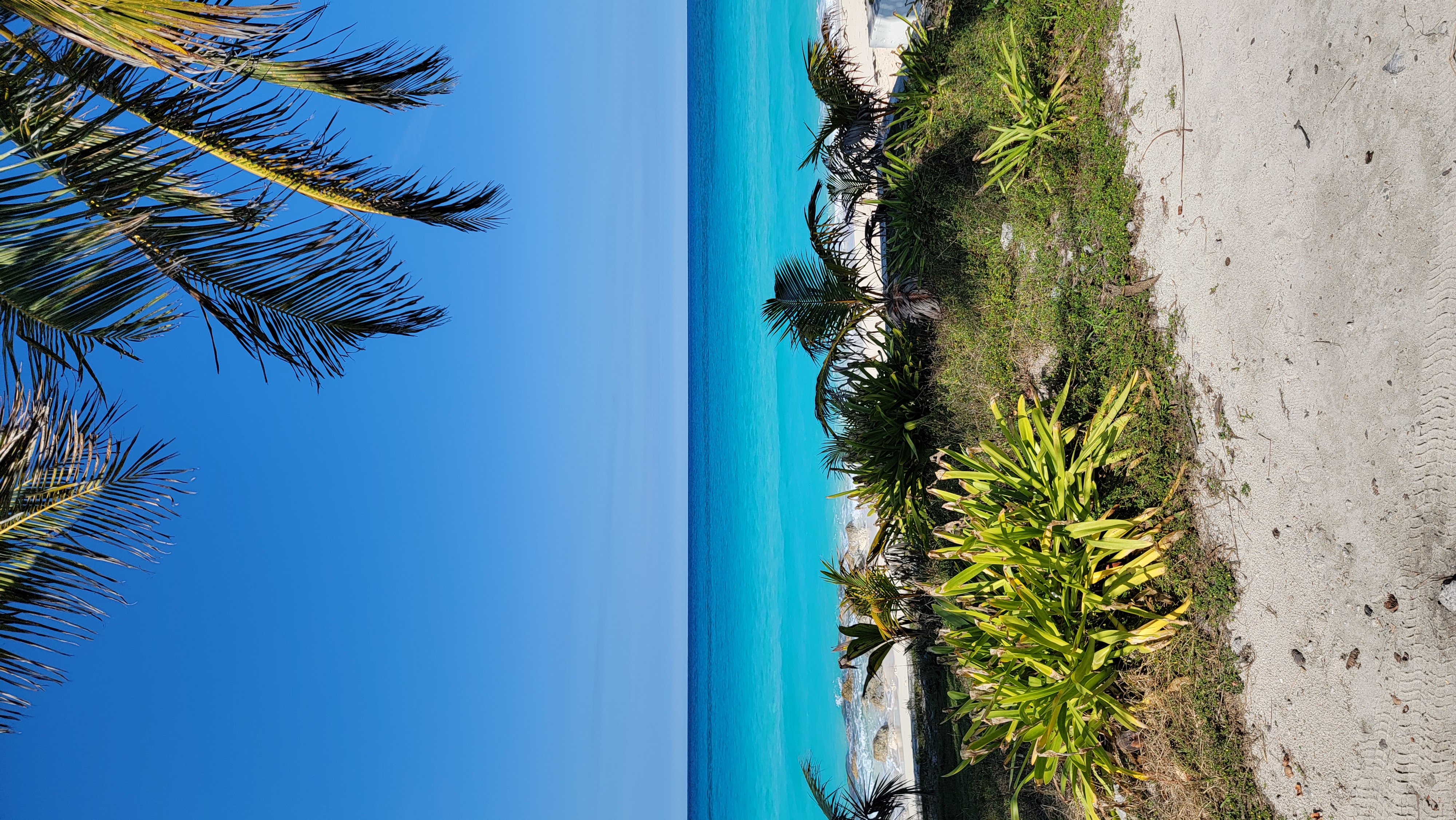 Cruise Brothers Travel Agent Debbie Hayes